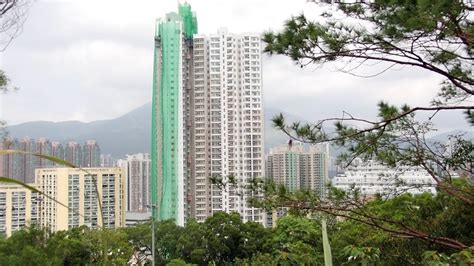 長青邨好住嗎|長青邨 青楊樓 Cheung Ching Estate